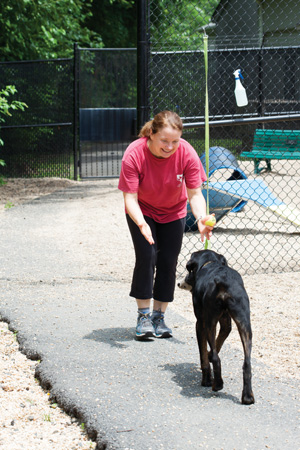 Volunteer Beth Burrous trains Ferdinand, a 10-month-old Rottweiler mix. Photo by Stacy Zarin-Goldberg