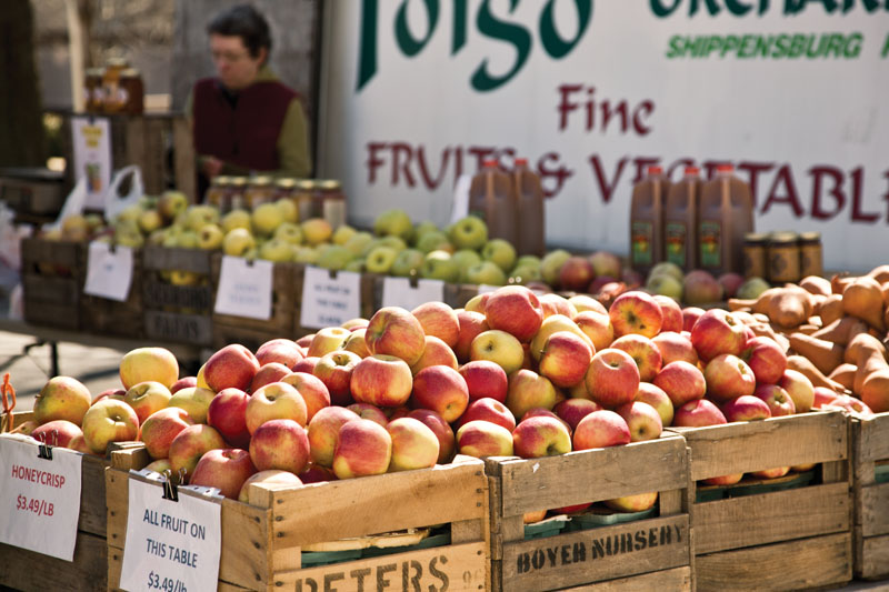 Arlington Farmers Market in Courthouse. Photo by  Benjamin C. Tankersley