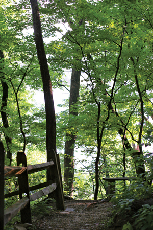 Turkey Run Park, Photo by James Helminski